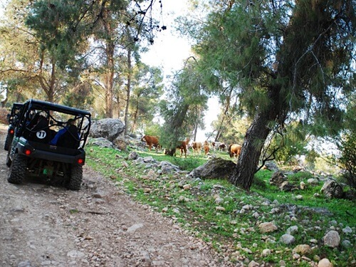 רייזר העמק הנעלם